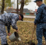 В Орле посадили новую аллею - OrelGrad.Ru