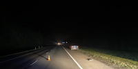 На Орловщине водитель сбил пешехода и скрылся - OrelGrad.Ru