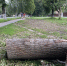 Конкурс на капремонт улицы Сурена Шаумяна провалился - РИА 57