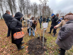 «Сад памяти» в Орле пополнился новыми саженцами