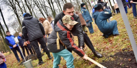 Жители Орла посадили в парке Победы 89 молодых лип в память о погибших участниках СВО - InfoOrel.Ru
