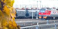 Погрузка жмыхов на железной дороге в Орловской области выросла на 23% в январе-октябре - InfoOrel.Ru
