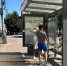 В Орле планируют установить 67 остановочных павильонов - Орловский Вестник