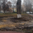 Фотофакт: вокруг дуба-долгожителя убрали плитку - InfoOrel.Ru