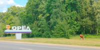 На Орловщине становится все больше мяса и все меньше коров - OrelGrad.Ru