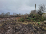 На орловском помётохранилище выявили нарушения