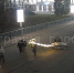 Молодой орловец не устоял перед елью на Ленинском мосту и выдернул ее из вазона - Орловский Вестник