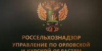 В Орле выявлены кафе, где готовили блюда из баранины без документов и проведения ветсанэкспертизы - InfoOrel.Ru
