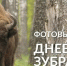 В «Орловском полесье» покажут годовую жизнь зубров на фотовыставке - Орловский Вестник