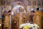 ТОП влияния: митрополит Тихон (35)