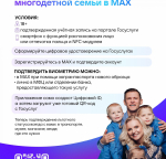 Многодетные семьи, граждане с инвалидностью и пенсионеры могут сформировать электронное удостоверение в мессенджере MAX