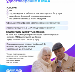 Многодетные семьи, граждане с инвалидностью и пенсионеры могут сформировать электронное удостоверение в мессенджере MAX
