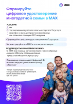 Многодетные семьи, граждане с инвалидностью и пенсионеры могут сформировать электронное удостоверение в мессенджере MAX