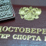 Орловцы Кирилл Лукьянов и Дарья Давыдова стали «Мастерами спорта России» - Орловский Вестник
