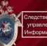 Следственное управление напоминает родителям о соблюдении правил безопасности детей при купании в проруби на Крещение - Следственный комитет