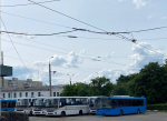 Социальные маршруты общественного транспорта предложили ввести по всей России