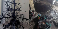 Новогодняя гирлянда стала причиной пожара в Орле - Орловский Вестник