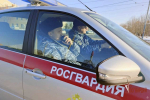 Росгвардейцы задержали двоих граждан в сетевом магазине за кражу алкогольной продукции