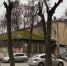 В Советском районе Орла в 2025 году вырубили 366 деревьев - Орловский Вестник