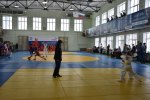 В Орле прошел фестиваль единоборств среди школьников