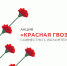 Орловская область снова присоединится к Всероссийской акции «Красная гвоздика» - Правительство Орловской области