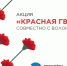 Орловская область вновь присоединится к акции «Красная гвоздика» - Орловский Вестник