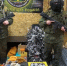 Военные танкисты поблагодарили орловцев за помощь - Орловский Вестник