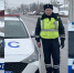 Орловские полицейские вытолкали автомобиль из сугроба - Орловский Вестник