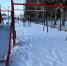 photo_2026-03-02_10-15-28 - OrelTimes.Ru