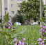 В Орле объяснили, как безопасно купить жилье с рук - OrelGrad.Ru