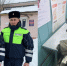 В Орле полицейские завернули в куртку и отвезли к ветеринару раненую собаку - Орловский Вестник