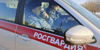 В феврале орловские росгвардейцы задержали 49 правонарушителей - Орловский Вестник