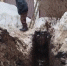 Орловские МУПы бесплатно провели пожилой паре воду - Орловский Вестник