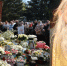 Паломнический тур в Оптину пустынь и святыни Болхова пройдет в годовщину блаженной кончины схиархимандрита Илия (Ноздрина) - Орловская и Ливенская епархия