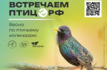 Присоединяйтесь к весеннему фенологическому проекту "ВстречаемПтиц.РФ"