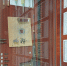 20260303_112842 - OrelTimes.Ru