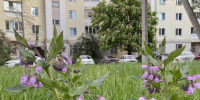 В Орловской области медики смогут приватизировать служебное жилье - OrelGrad.Ru