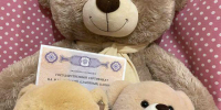 На Орловщине сразу 12 человек заподозрили в мошенничестве с маткапиталом - OrelGrad.Ru