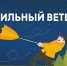 В Орловской области прогнoзируется усиление ветра до 18 м/с в ближайшие сутки - МЧС