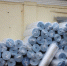=IMG_0117_1 - OrelTimes.Ru
