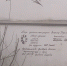 4HKLWk0No3ii_LYbkXxZ7HbNVPAm0rq4bBbBFOafNMbib5q6c6wuWA0lqykgb-AloS4pMe1e2zhIYgk4pCPXOgSp.jpg - OrelTimes.Ru