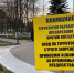Парки в Орле обработают от клещей - РИА 57