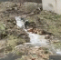Орловцы опубликовали видео «водопада» на Семинарской - OrelGrad.Ru