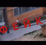 В Орловской области опровергли фейк с избиением подростка - Орловский Вестник
