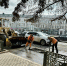 На неделе в Орле будут ремонтировать шесть улиц - OrelGrad.Ru