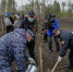 Орловские полицейские высадили рябины в сквере Лескова в рамках акции «Сад памяти» - Orelsreda.Ru