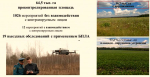 Орловским землепользователям, не использующим свои угодья, грозит повышенный налог на заброшенные земли
