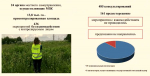 Орловским землепользователям, не использующим свои угодья, грозит повышенный налог на заброшенные земли