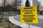 На Орловщине зарегистрировали два случая клещевого боррелиоза