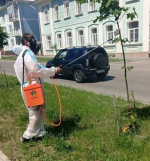 Фотофакт: в Ливнах началась война с опаснейшим карантинным вредителем